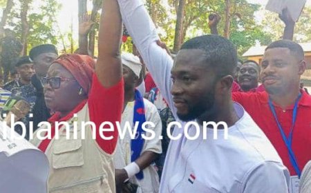 NPP ORPHAN PRIMARIES : Dr. ALEXANDER AMPAABENG SHOWDOWN MARTHA KWAYIE