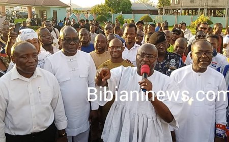 W/N : WHAT IDEA DID JOHN MAHAMA BRING WHEN HE WAS VICE PRESIDENT ? HE IS THE PAST,I AM THE FUTURE - DR BAWUMIA