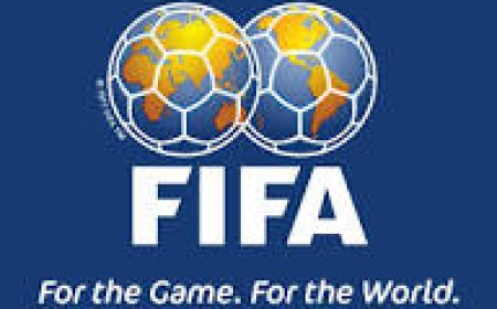 The FIFA Financial Report Provide  Details  Of FIFA's Account