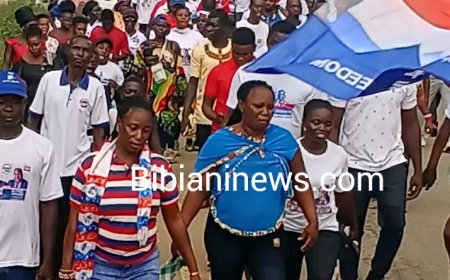 NPP Parliamentary Primiries :9 File To Contest 3 Constituencies In The Western North Region north