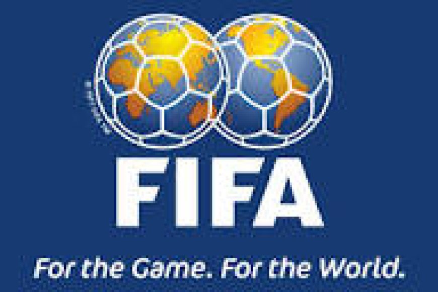 The FIFA Financial Report Provide  Details  Of FIFA's Account