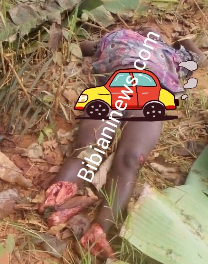 W/N : Driver Arrested For Knocking Down Pedestrians At Bibiani