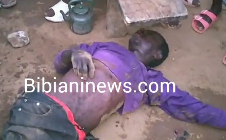 W/N : Suspected goat, sheep thief nearly lynched at Bibiani Old Town