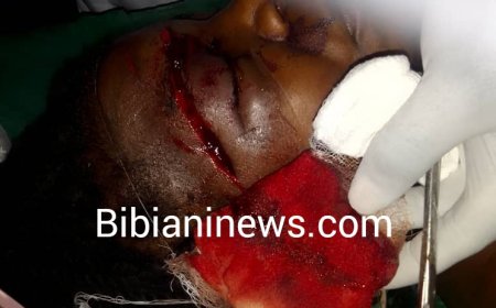 CRIME : Jealous husband allegedly butchers wife at Sefwi Wenchi