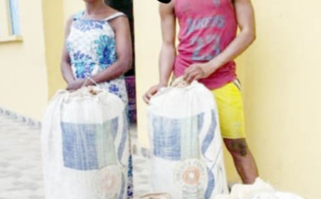 Lovers Arrested With 5 Bags Of suspected "Wee"