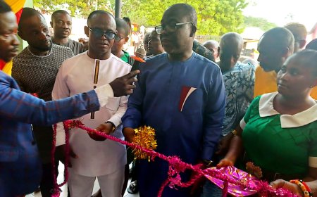 The NPP government shouldn't be held responsible for the economic difficulties; they have effectively managed the country