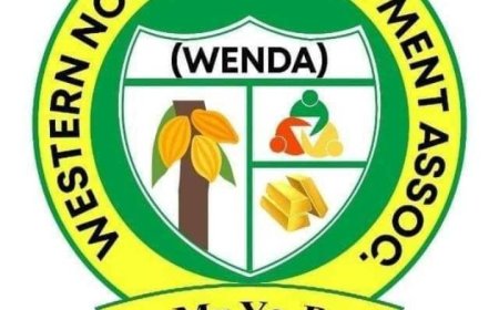 Read : Western North Youth Development has nothing to do with politics - Nanaba Clement