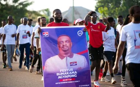 Nothing Inspire Me Coming In To Politics except for Sefwi Development And Progress - NPP PC