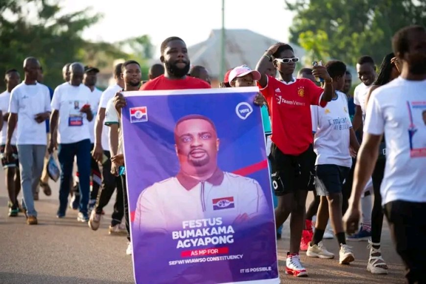 Nothing Inspire Me Coming In To Politics except for Sefwi Development And Progress - NPP PC