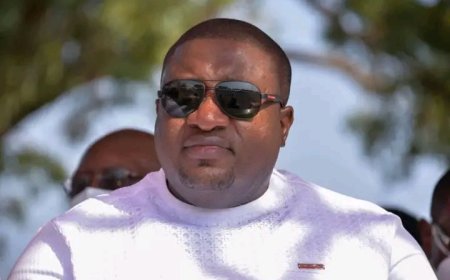 NPP National Organiser appeals to the EC to prolong the days for the limited voter registration exercise