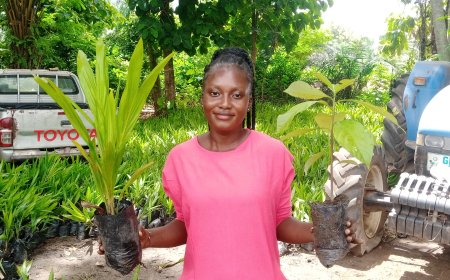 B/A/B : Youth Encouraged To Participate Actively In The Green Ghana Project