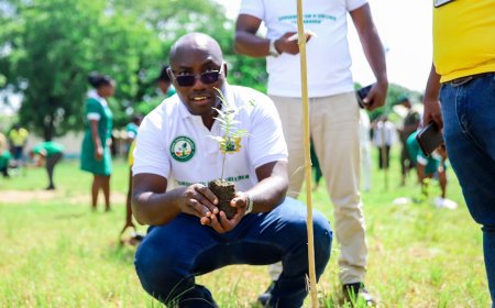 Mensin Gold Bibiani Limited donates 15550 Seedlings to support the Green Ghana project