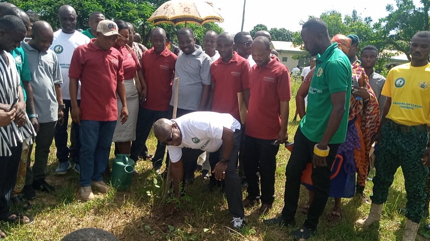 Green Ghana Day Should Be Commemorate Like Farmers Day - Hon. Akwasi Osei-Adjei