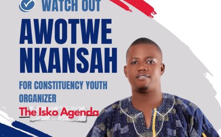 The future of the New Patriotic Party (NPP) indeed lies in the hands of its grassroots members -  Awotwe Nkansah