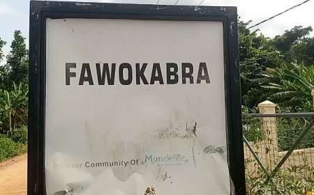 Bibiani Anhwiaso Bekwai: Fawokabra residents appeal to government for social aminities