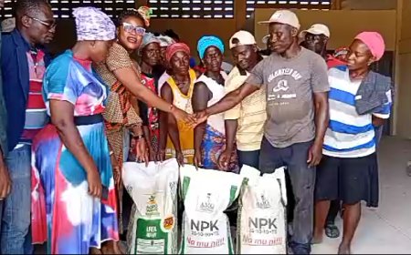 C/R: GOMOA OKYEREKO RICE FARMERS  SUPPORT WITH 589 FERTILIZER AFTER FLOODING INCIDENT.