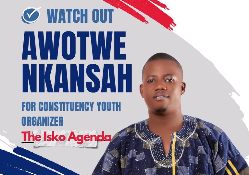 The future of the New Patriotic Party (NPP) indeed lies in the hands of its grassroots members -  Awotwe Nkansah