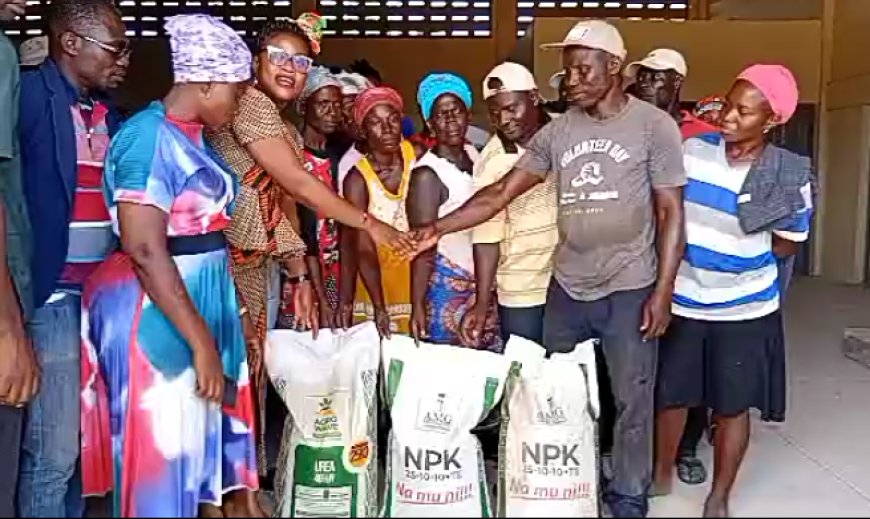 C/R: GOMOA OKYEREKO RICE FARMERS SUPPORT WITH 589 FERTILIZER AFTER FLOODING INCIDENT.