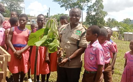 Government Urged to Channel Tree for Life Initiative through Youth Employment Agency to Reduce Unemployment