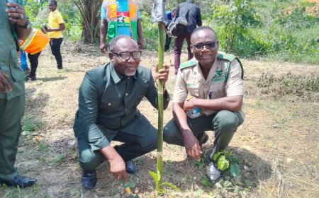 Western North Forestry Commission Launches Tree for Life Program