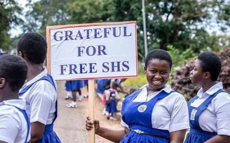 Extension of Free SHS to Private Schools: An Excellent Move - Educationist