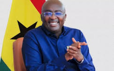 60 Out of 88 NPP MPs Endorse Dr. Bawumia’s 2026 Presidential Bid