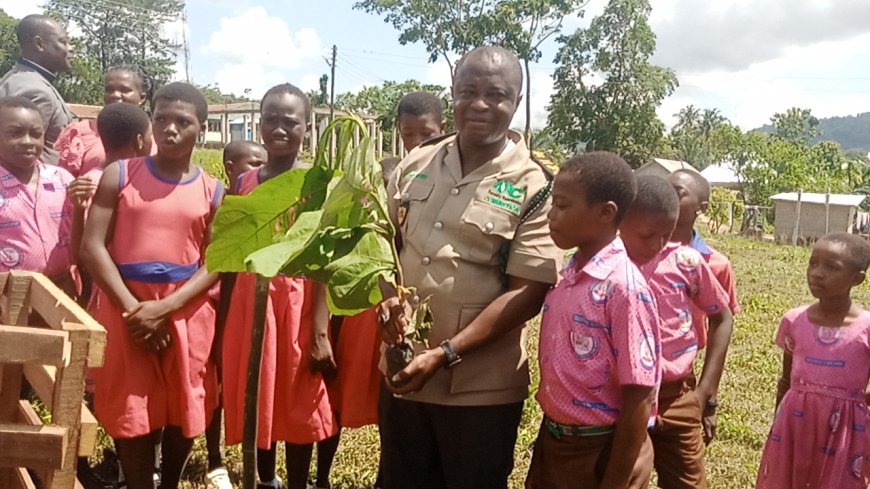 Government Urged to Channel Tree for Life Initiative through Youth Employment Agency to Reduce Unemployment