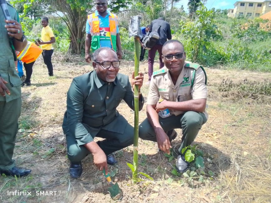 Western North Forestry Commission Launches Tree for Life Program