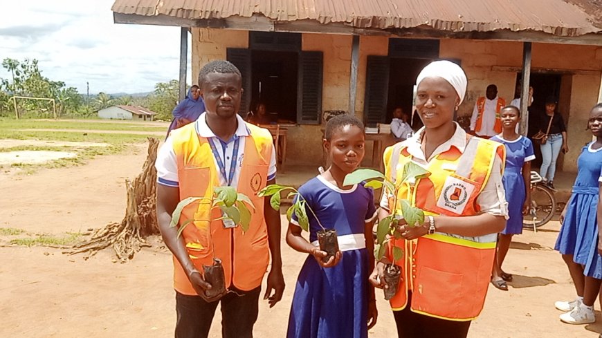 Bibiani NADMO Commemorates World Disaster Risk Reduction Day with Tree Planting at Sefwi Anhwiaso Schools