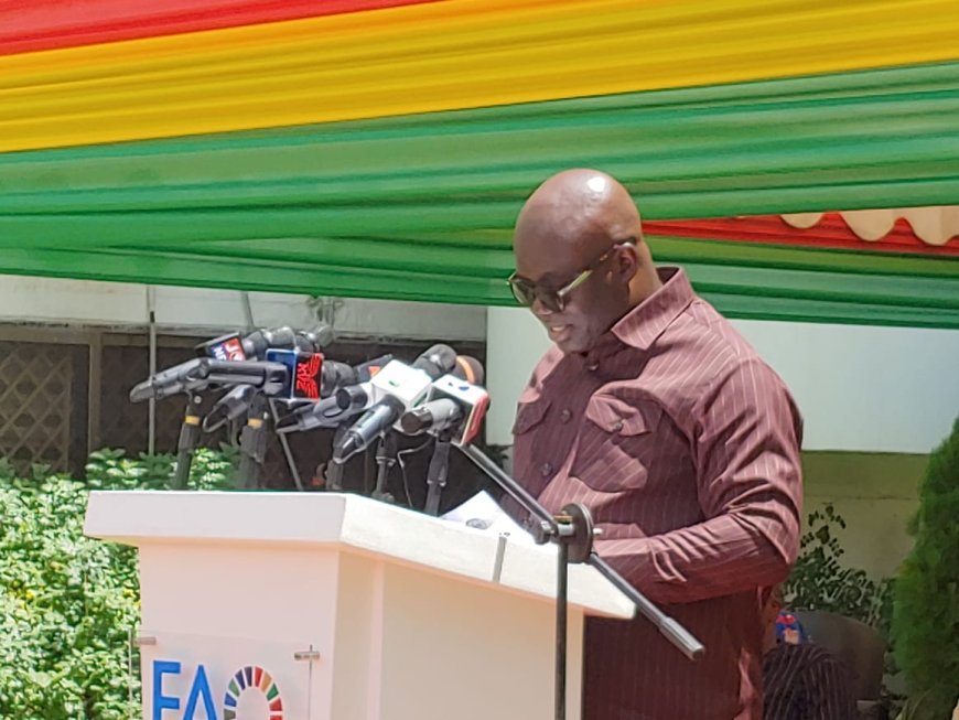 Agric Minister Urges Ghanaians to Embrace Backyard Farming on World Food Day