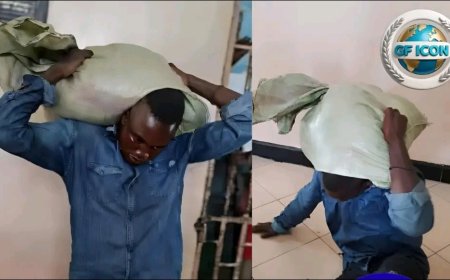 Alleged Maize Thief Surrenders to Police After Bizarre Incident in Binduri