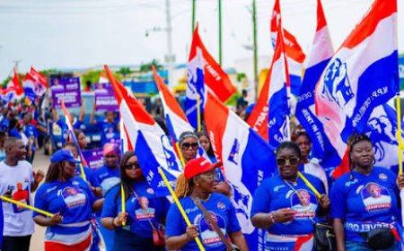 32 Candidates File Nominations for Bibiani Anhwiaso Bekwai NPP Constituency Executive Elections