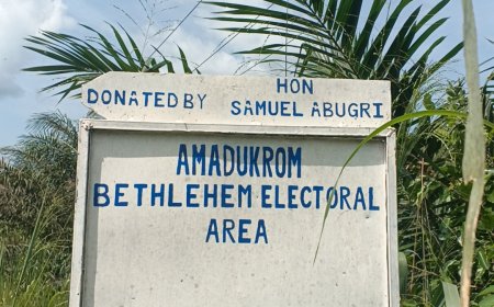 Residents of Amadukeom, Nsiakrom, Abotanso and Nyamakrom Appeal for Improved Social Amenities