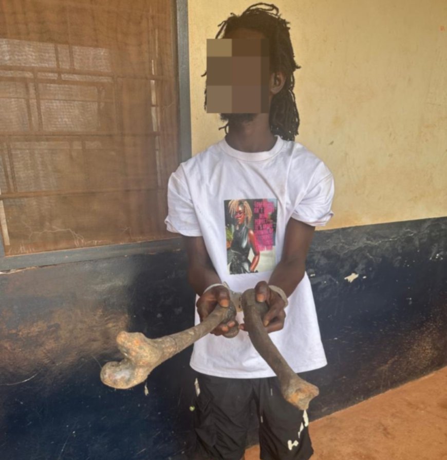 Man, 22, Arrested with Skeletal Parts at Sefwi Atronsu