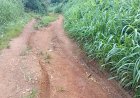 Bibiani Abesinsuom Kuro-Dada Residents Appeal for Social Amenities, Chief Calls for Urgent Road Construction