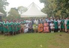 Western North Health Directorate Urges Public to End Hepatitis B Stigma as Region Records 693 Cases