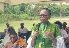 Bia West Leads Hepatitis Cases in 2025 in Western North Region