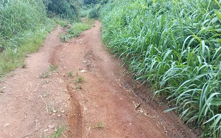 Bibiani Abesinsuom Kuro-Dada Residents Appeal for Social Amenities, Chief Calls for Urgent Road Construction