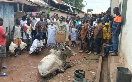 Traditional Leaders Call on Ghanaians to Preserve Cultural Heritage as Bibiani Old Town Performs Customary Rites Ahead of Resettlement