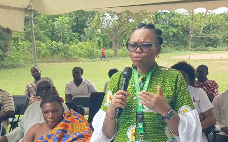 Bia West Leads Hepatitis Cases in 2025 in Western North Region