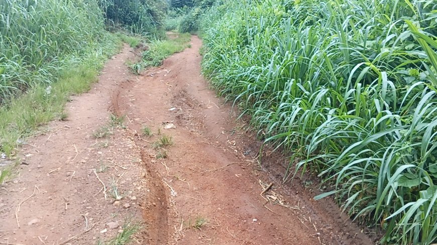 Bibiani Abesinsuom Kuro-Dada Residents Appeal for Social Amenities, Chief Calls for Urgent Road Construction