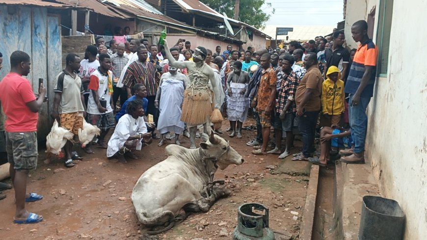 Traditional Leaders Call on Ghanaians to Preserve Cultural Heritage as Bibiani Old Town Performs Customary Rites Ahead of Resettlement