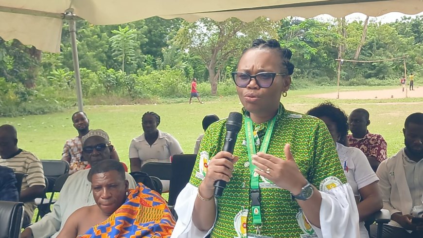 Bia West Leads Hepatitis Cases in 2025 in Western North Region