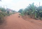 Ohiampenika Residents Appeal for Road Rehabilitation and Essential Social Amenities