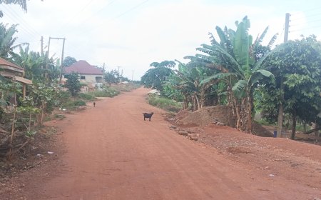 Ohiampenika Residents Appeal for Road Rehabilitation and Essential Social Amenities