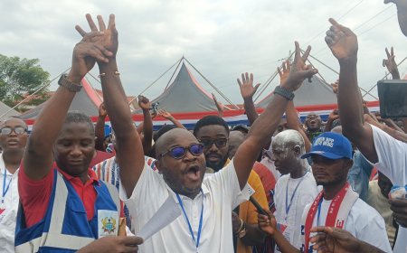 Western North NPP Regional Executives Elections: All Three Aspirants from Bibiani-Anhwiaso-Bekwai Lose