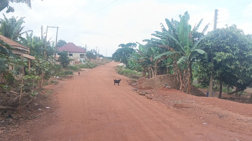 Ohiampenika Residents Appeal for Road Rehabilitation and Essential Social Amenities