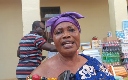 EDUCATION: Nana Ekyea Akwassi: Discipline Key to Raising Responsible Future Leaders